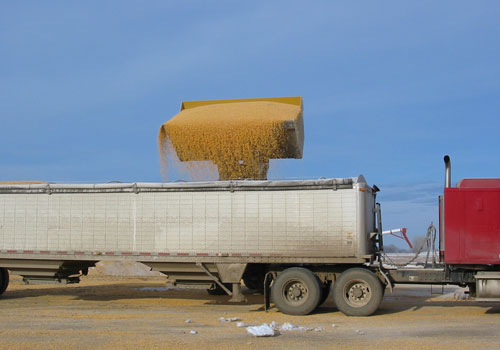 High Dump Roll-Out Bucket